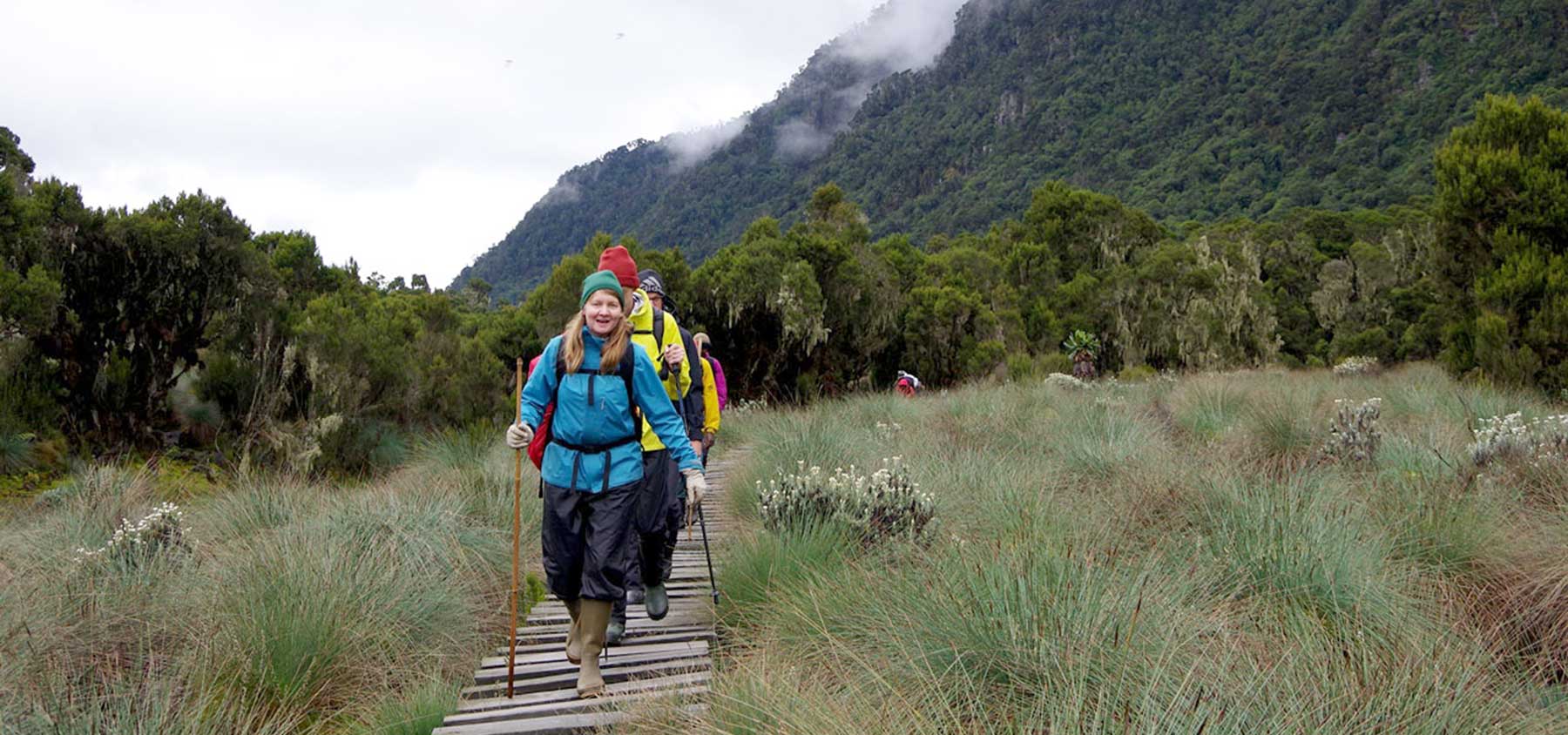 Hiking in the Rwenzori mountains national park in Uganda - Nandi Adventures