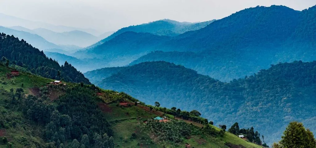 Homesteads dot the valley below Nkuringo. The forested hills behind are the start of Bwindi Impenetrable National Park, home to many of Uganda's iconic Mountain Gorillas. Nkuringo, Uganda. Photograph by Jason Houston for USAID - take gorilla trekking safari with Nandi Adventures