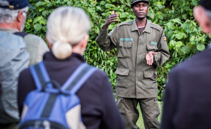 David a wildlife ranger at the Bwindi Impenetrable National Park, briefs tourists before the daily gorilla tracking adventure. Get a free price quote for the maasai mara to gorilla trekking adventure with Nandi Adventures