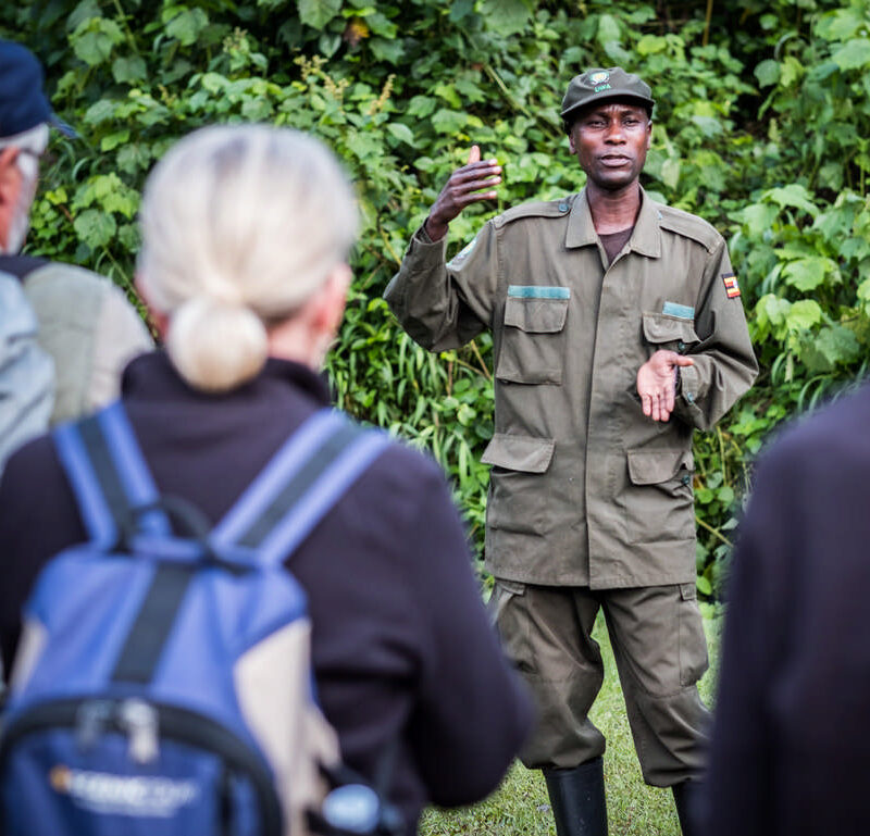 David a wildlife ranger at the Bwindi Impenetrable National Park, briefs tourists before the daily gorilla tracking adventure. Get a free price quote for the maasai mara to gorilla trekking adventure with Nandi Adventures