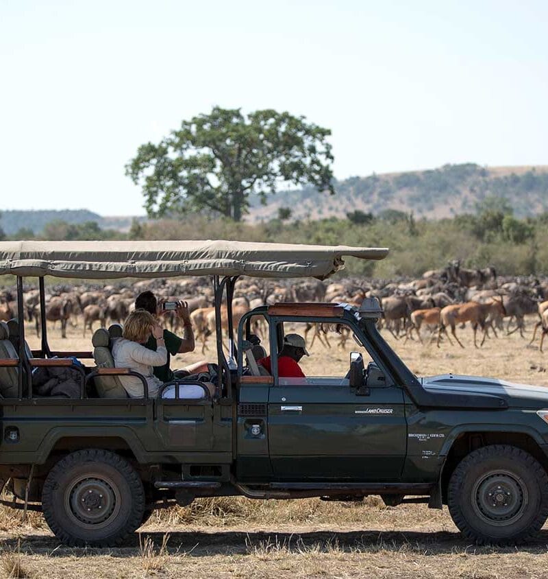 A safari vehicle observes a herd of wildesbeest on the savannah near the Mara River in Kenya's world famous Masai Mara National Reserve. Every year, hundreds of thousands of wildebeest, zebra and other ungulate animals migrate between Tanzania's Serengeti and Kenya's Masai Mara in a year-long, continuous cycle, which sees the animals travel thousands of kilometres and is known as one of the seven natural wonders of the world, and is a major draw for wildlife enthusiasts and tourists from around the world. MANDATORY CREDIT: MAKE IT KENYA PHOTO / STUART PRICE. Book your luxury kenya safari with Nandi Adventures